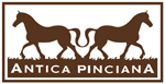 Antica Pinciana